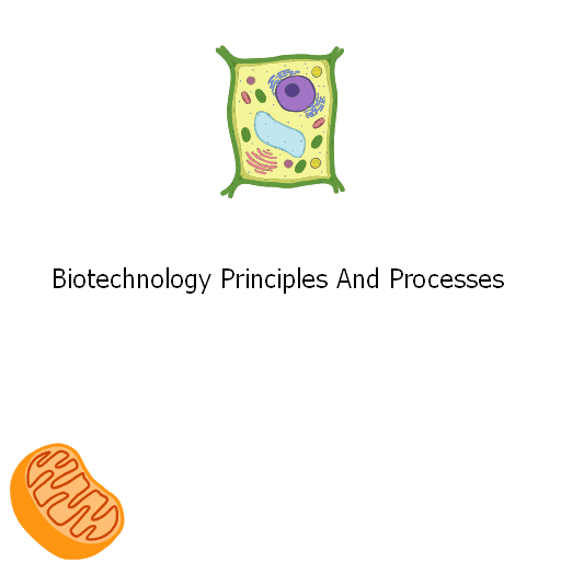 Biotechnology Principles And Processes